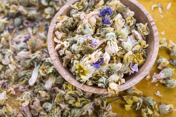 قیمت خرید گل ختمی سفید با فروش عمده